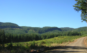 rural-285-001