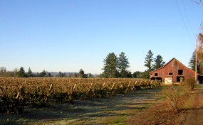 rural-285-003