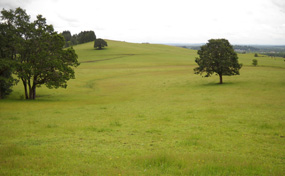 rural-285-0661