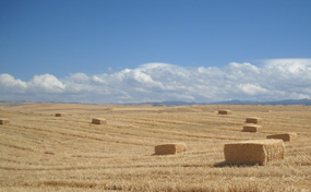 rural-285-0886