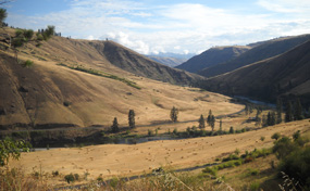 rural-285-0891